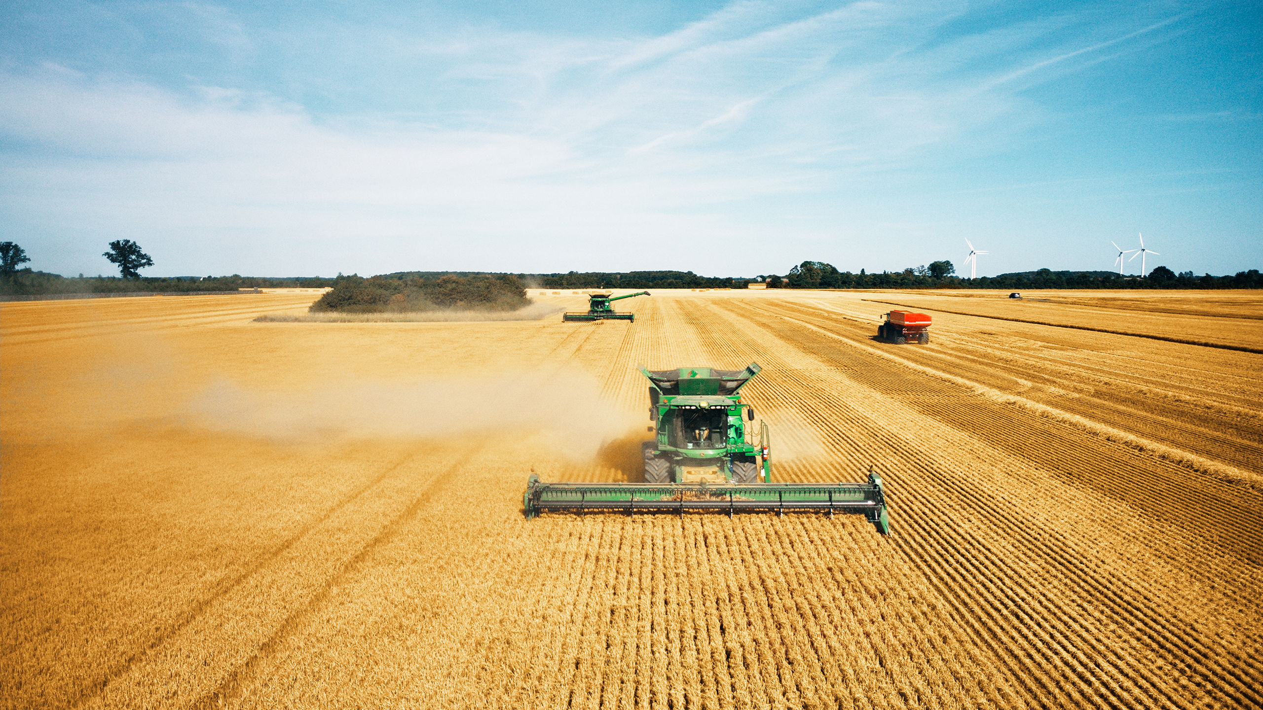 20240714 SG Harvest 167