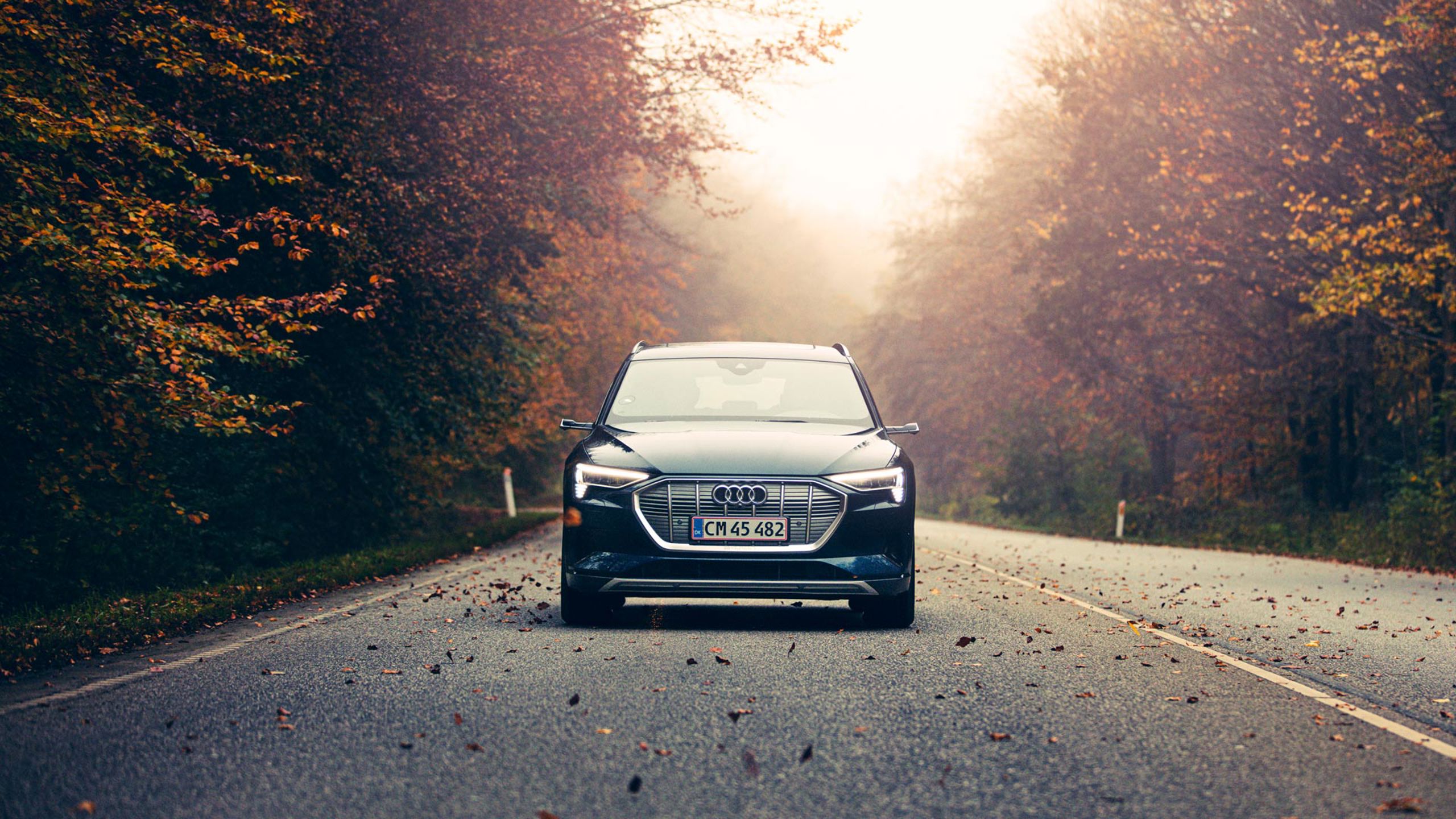 Semler Mobility Audi Skov