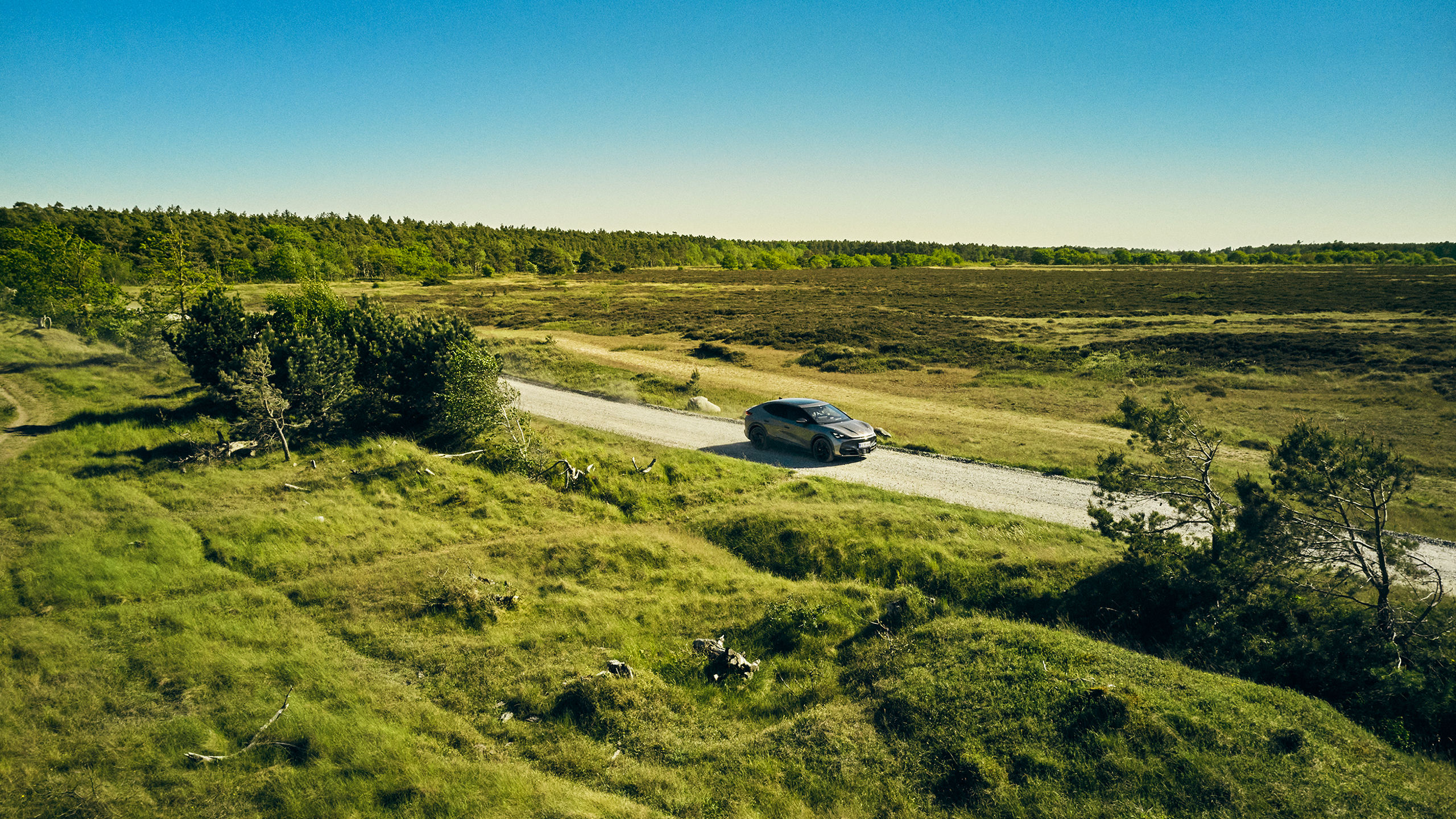 20250520 - SG ESG Car 1 - 0132.jpg